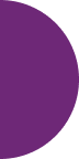 Ellipse 19 Purple list marker