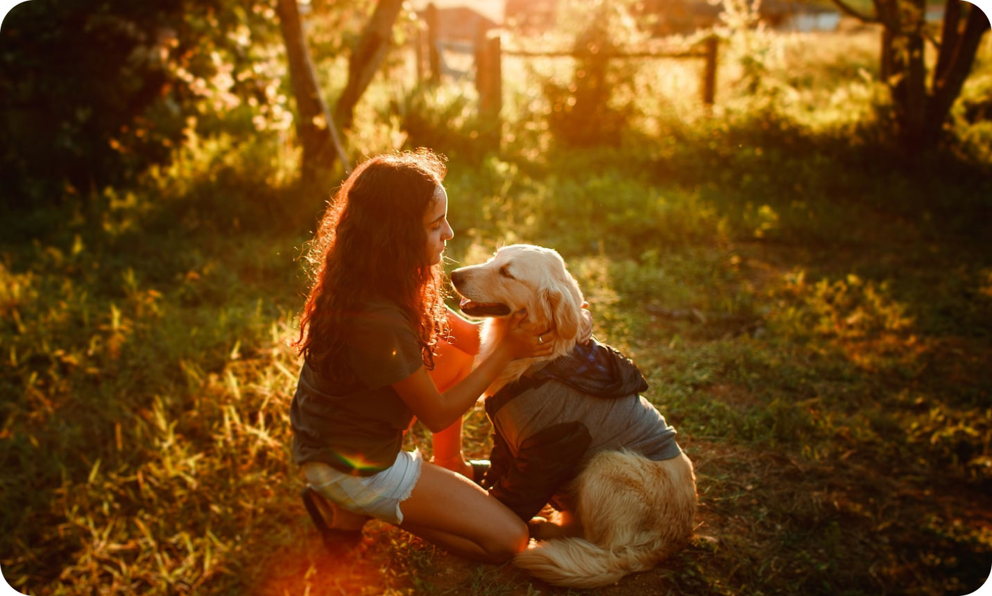 A young woman kneels in front of a Golden Retriever service dog.